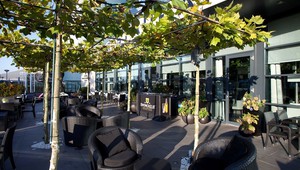 Terras