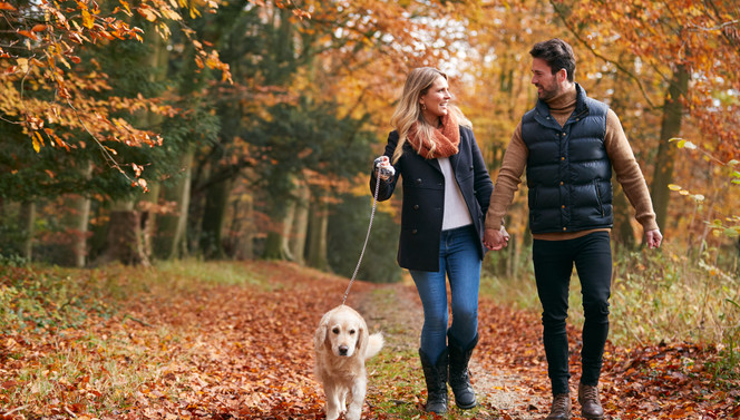 Heerlijke herfst | Hotel Amersfoort