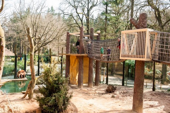 Speelplek voor kinderen in Dierenpark Amersfoort