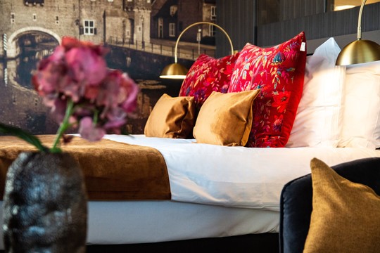 Coral Suite