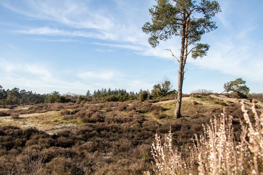 Nature reserves Amersfoort