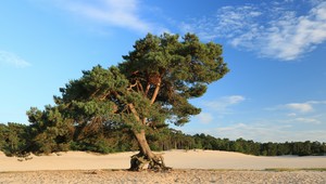Kom tot rust in de natuur van Amersfoort