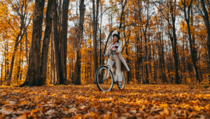 Fietsen tijdens de Herfst in Amersfoort